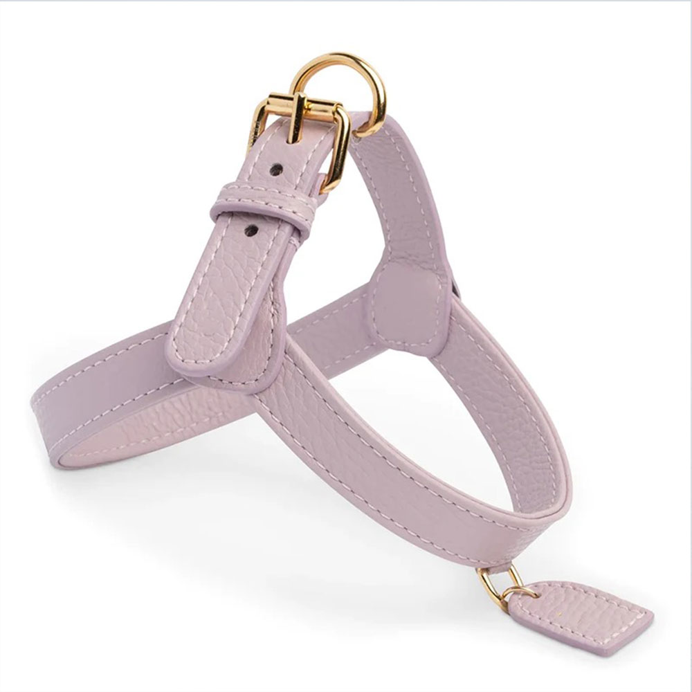 Custom-Leather-Dog-Harness-Manufacturer
