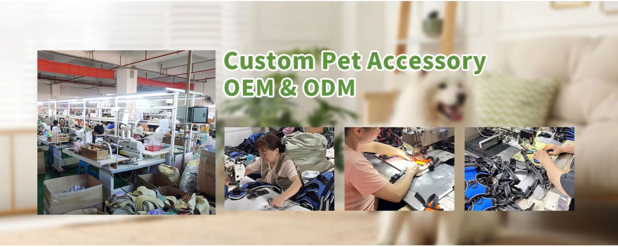 Custom-Pet-Accessories-Manufacturer-China