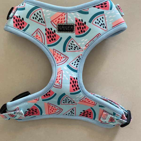Custom-Printing-Neoprene-Dog-Harness-Manufacturer-in-China