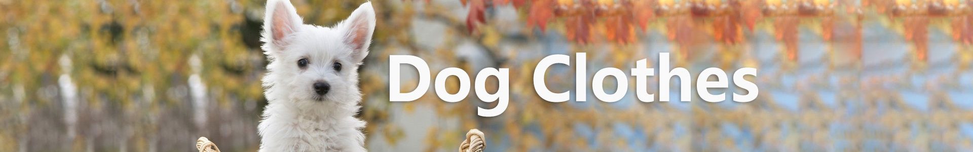 Dog-Clothes-1 Dog-Clothes-1